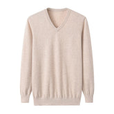 Men’s 100% Cashmere V-Neck Sweater Luxury Soft Lightweight Long Sleeve Pullover