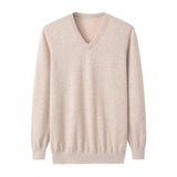 Men’s 100% Cashmere V-Neck Sweater Luxury Soft Lightweight Long Sleeve Pullover